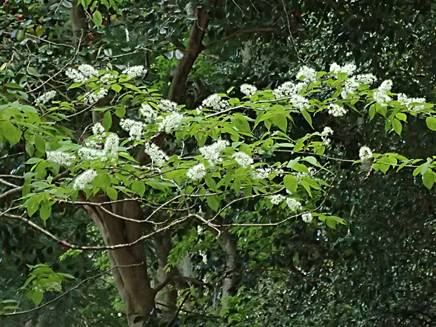 f0214649_5325853.jpg