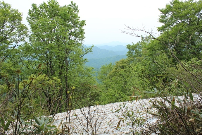 e0239458_20551430.jpg