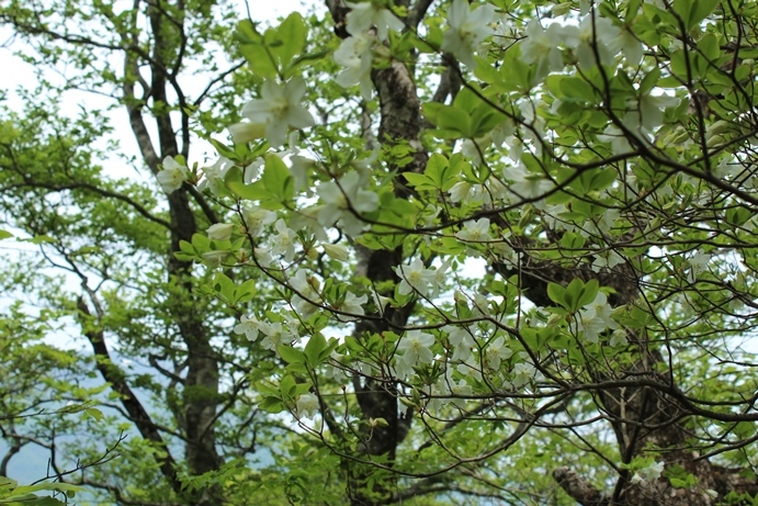 e0239458_21075559.jpg