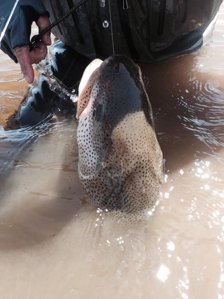 b0237260_2012843.jpg