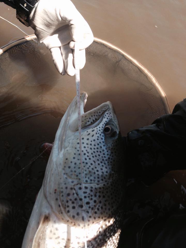 b0237260_2053530.jpg