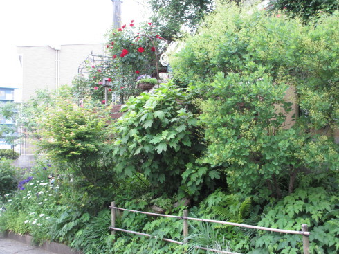 a0243064_08471320.jpg