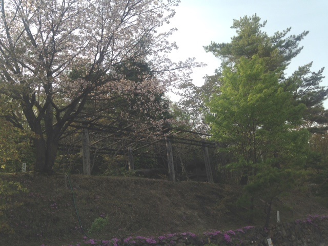 b0236665_23481606.jpg