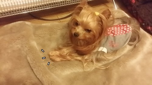e0248268_00270393.jpg