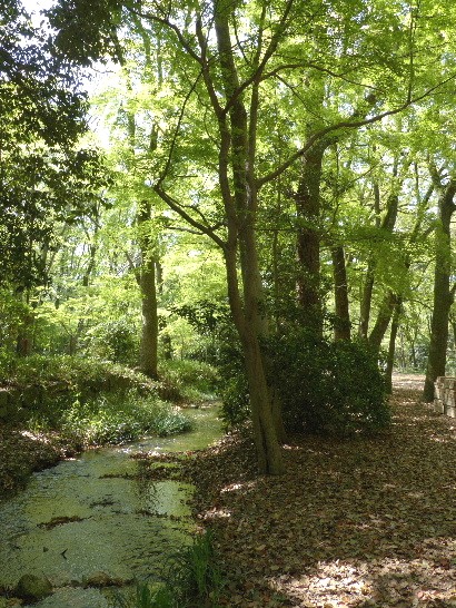 d0084473_2014083.jpg