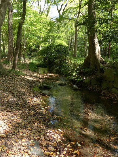 d0084473_2014939.jpg