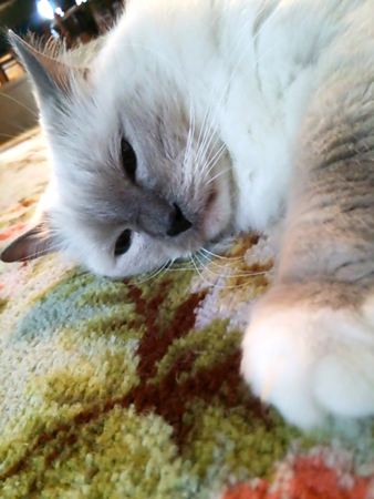 f0000673_20584865.jpg