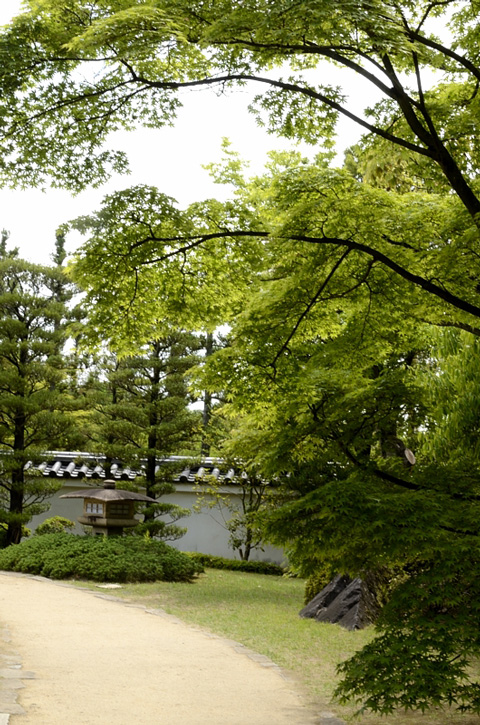 f0108478_2226012.jpg