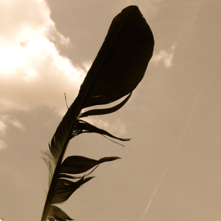 b0237279_1539099.jpg