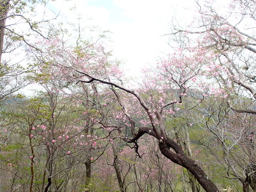 f0223480_951284.jpg