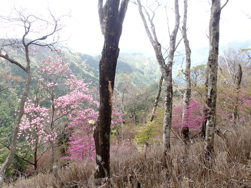 f0223480_9515047.jpg