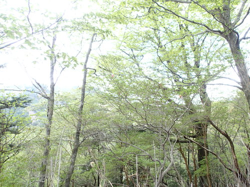 f0223480_9533469.jpg