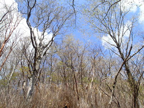 f0223480_9552155.jpg