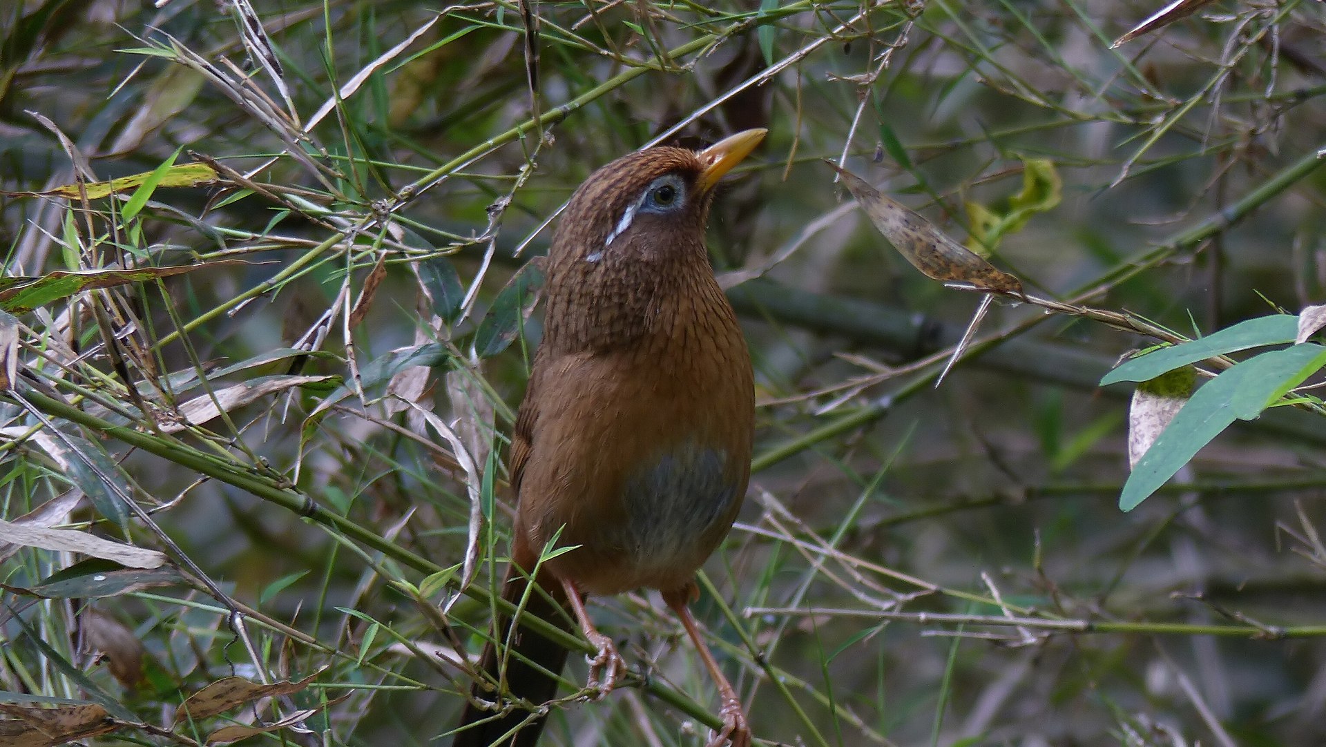 a0185081_14374217.jpg
