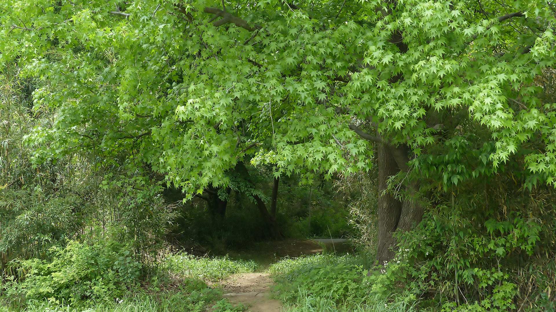 a0185081_14393827.jpg