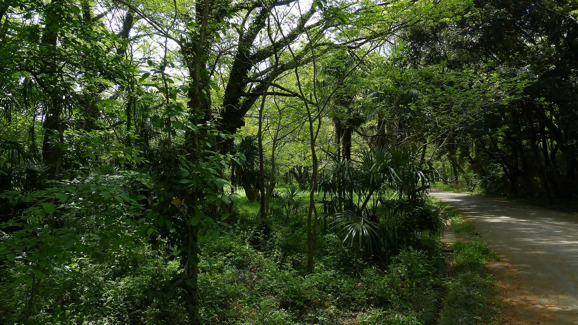 a0185081_15254354.jpg