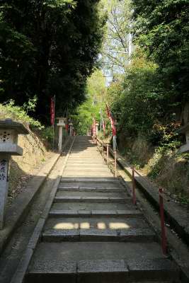 e0191481_2359390.jpg