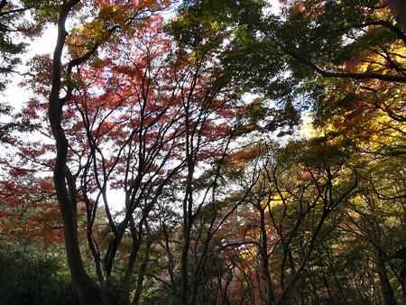 c0168984_22350179.jpg