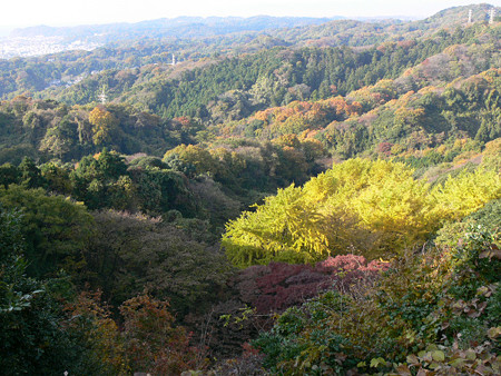 c0168984_22350181.jpg