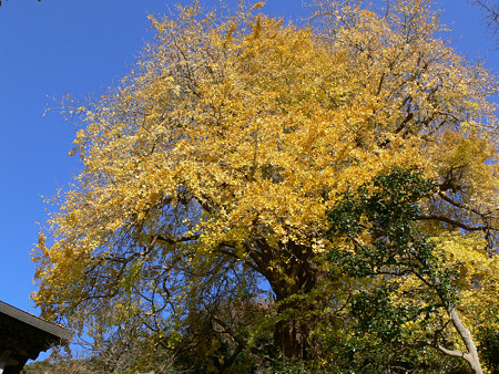 c0168984_22350577.jpg