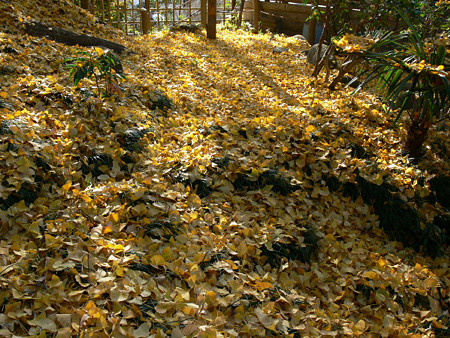 c0168984_22350581.jpg