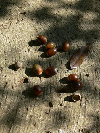 c0168984_22450460.jpg
