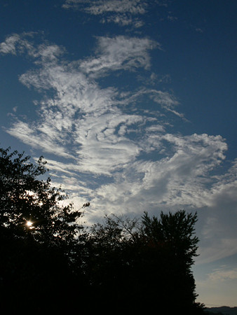 c0168984_22450530.jpg