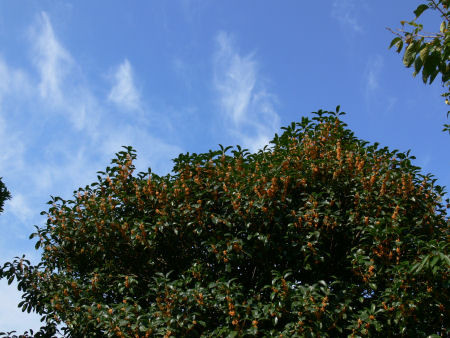 c0168984_22550514.jpg