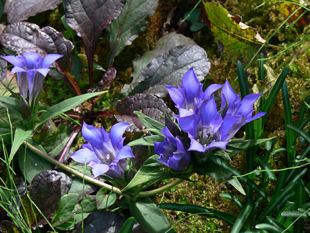 c0168984_22550705.jpg