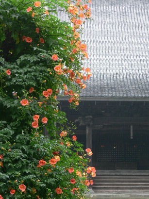 c0168984_23250388.jpg