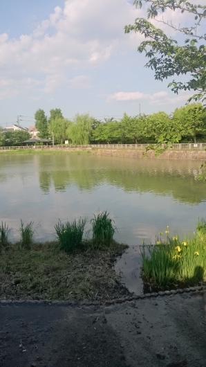 b0350090_15290069.jpg