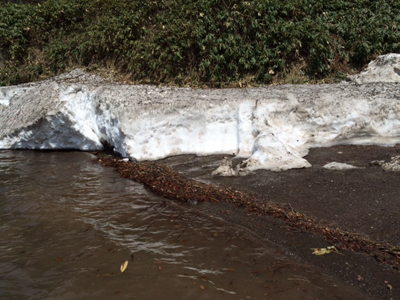 c0003493_11552058.jpg