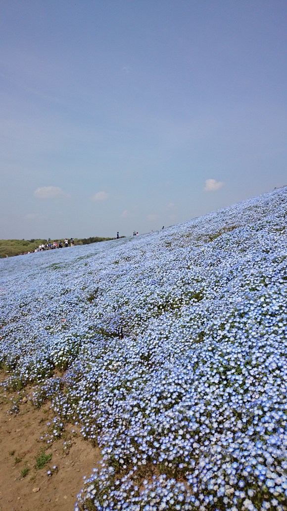 a0282294_13214618.jpg