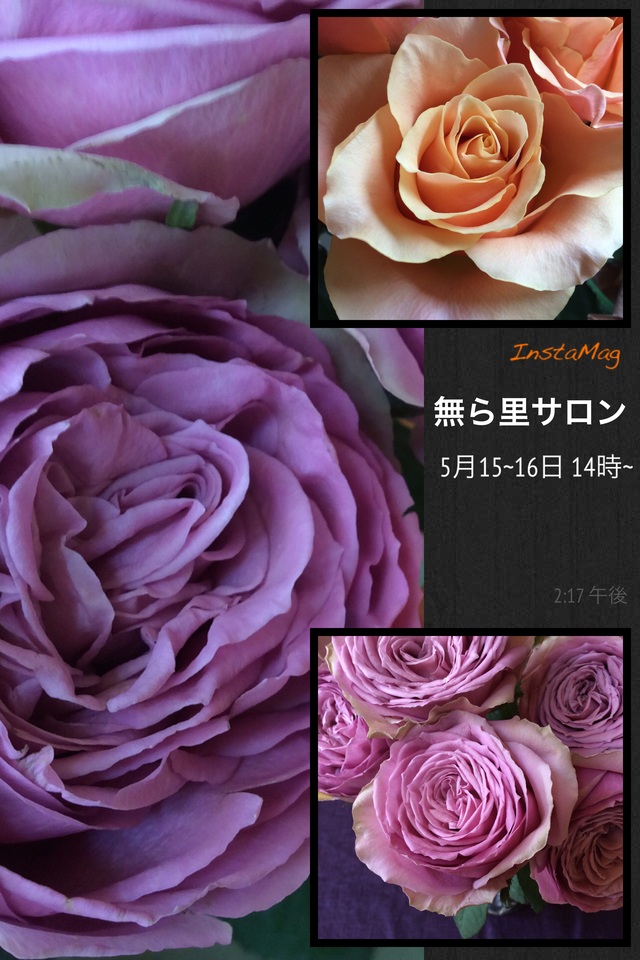 b0083902_2513461.jpg