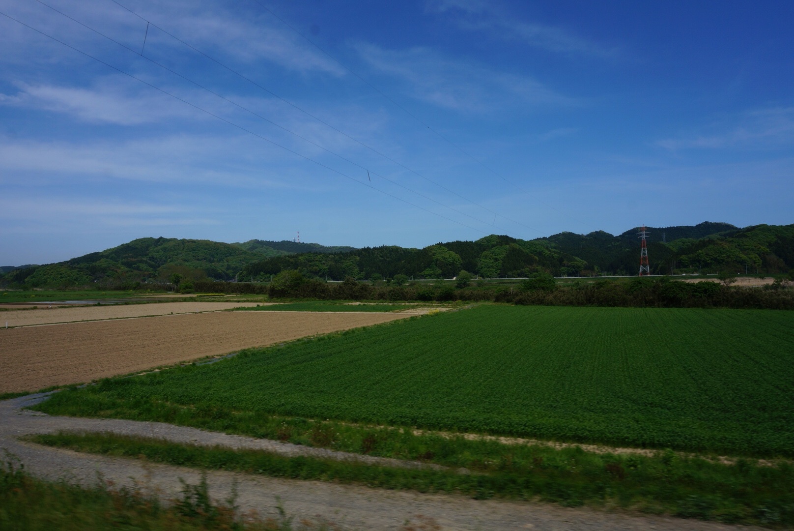 f0036603_21402329.jpg