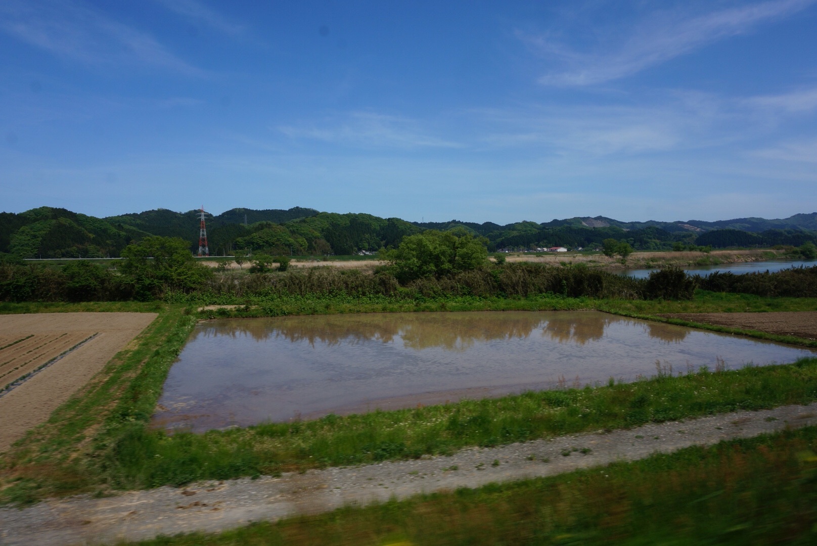 f0036603_21422036.jpg