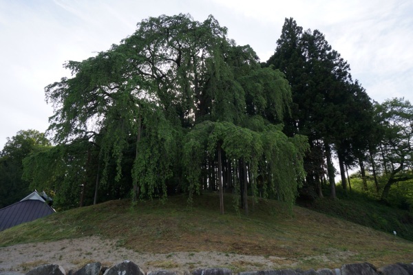 f0036603_21424955.jpg