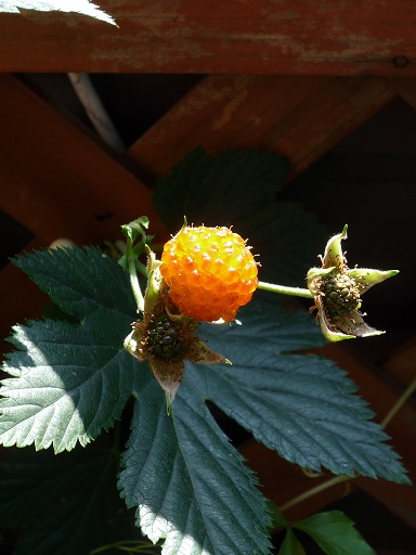 e0234004_22533291.jpg