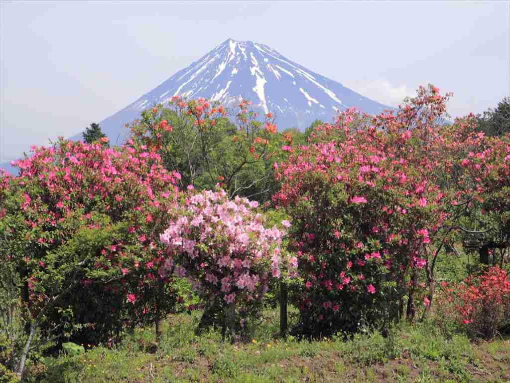 a0188405_22463372.jpg
