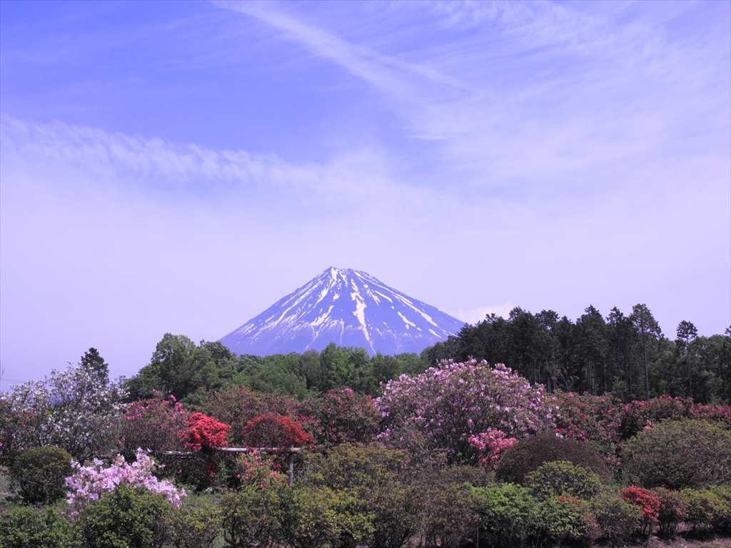 a0188405_22464080.jpg