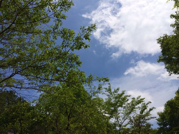 f0268305_105578.jpg
