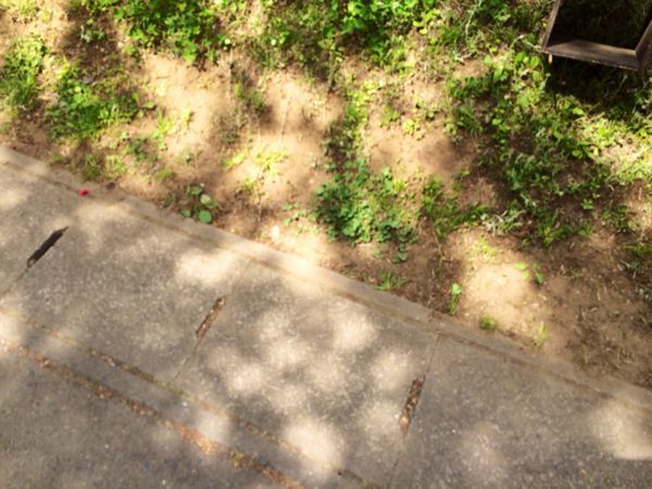 f0268305_1063170.jpg