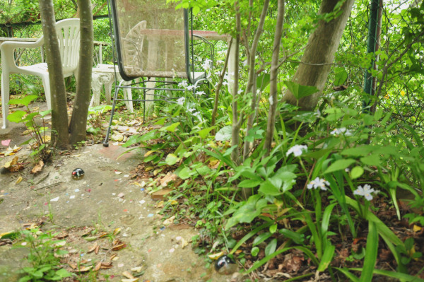 f0188408_142794.jpg