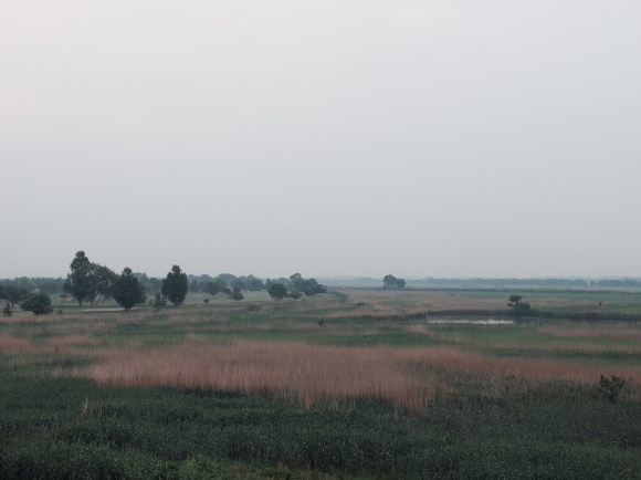 f0302208_16302072.jpg
