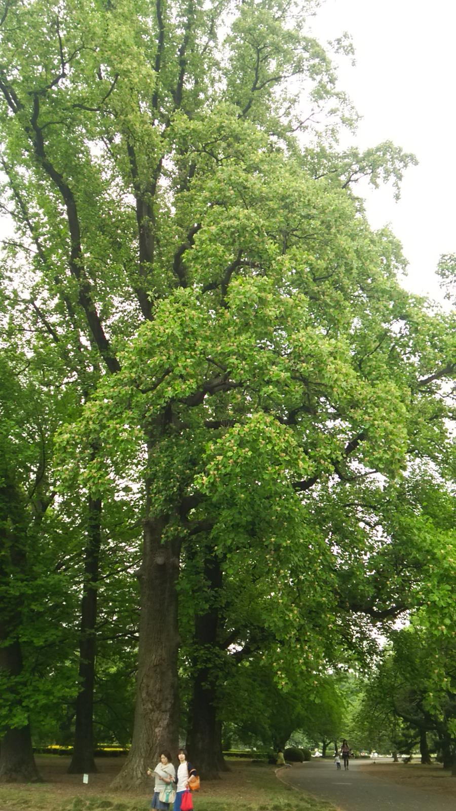 f0231709_14153292.jpg