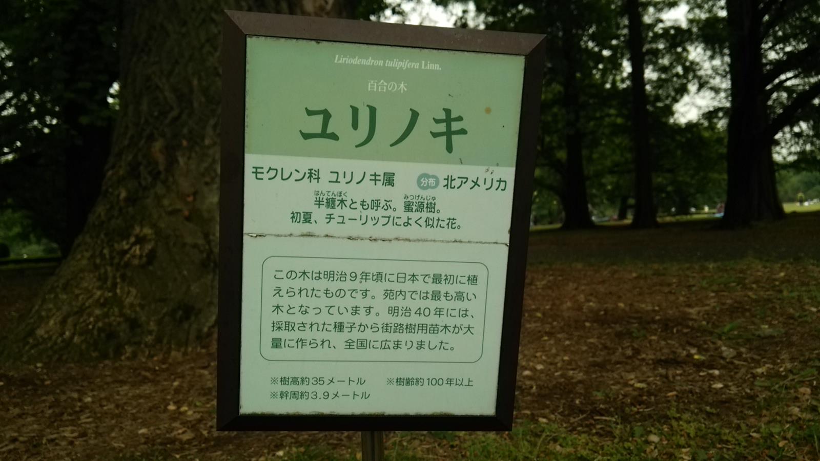 f0231709_14155422.jpg