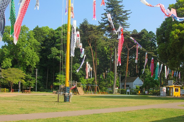 e0121110_22355376.jpg