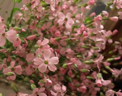 c0247614_1842102.jpg