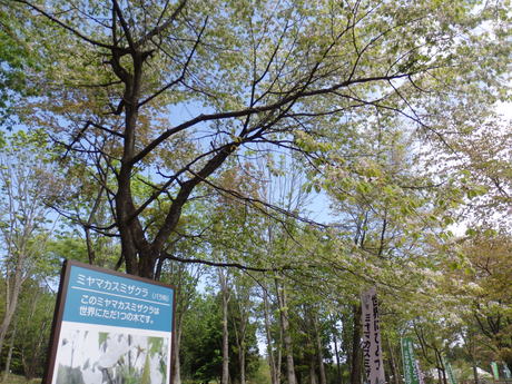 f0250515_11433413.jpg