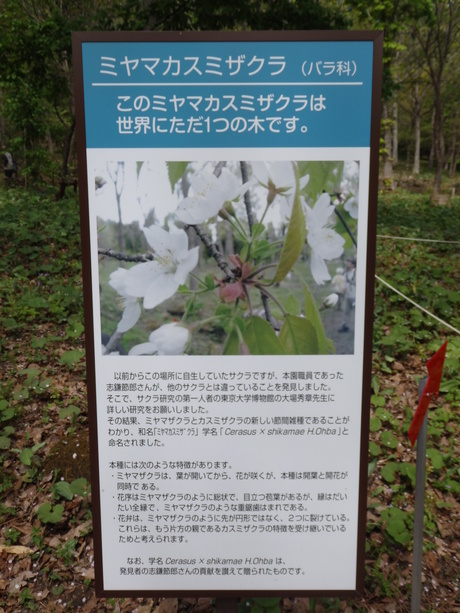 f0250515_11453899.jpg